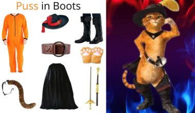 Puss in Boots costume