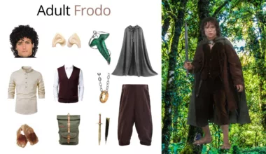 Lord of the Rings Frodo Costume