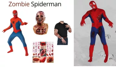 Zombie Spiderman Costume
