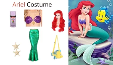 Best Ariel Costume