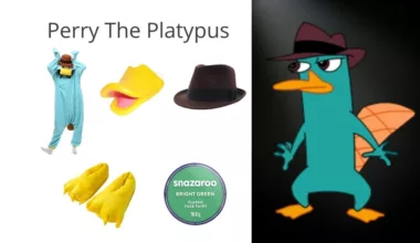 Perry the Platypus Costume