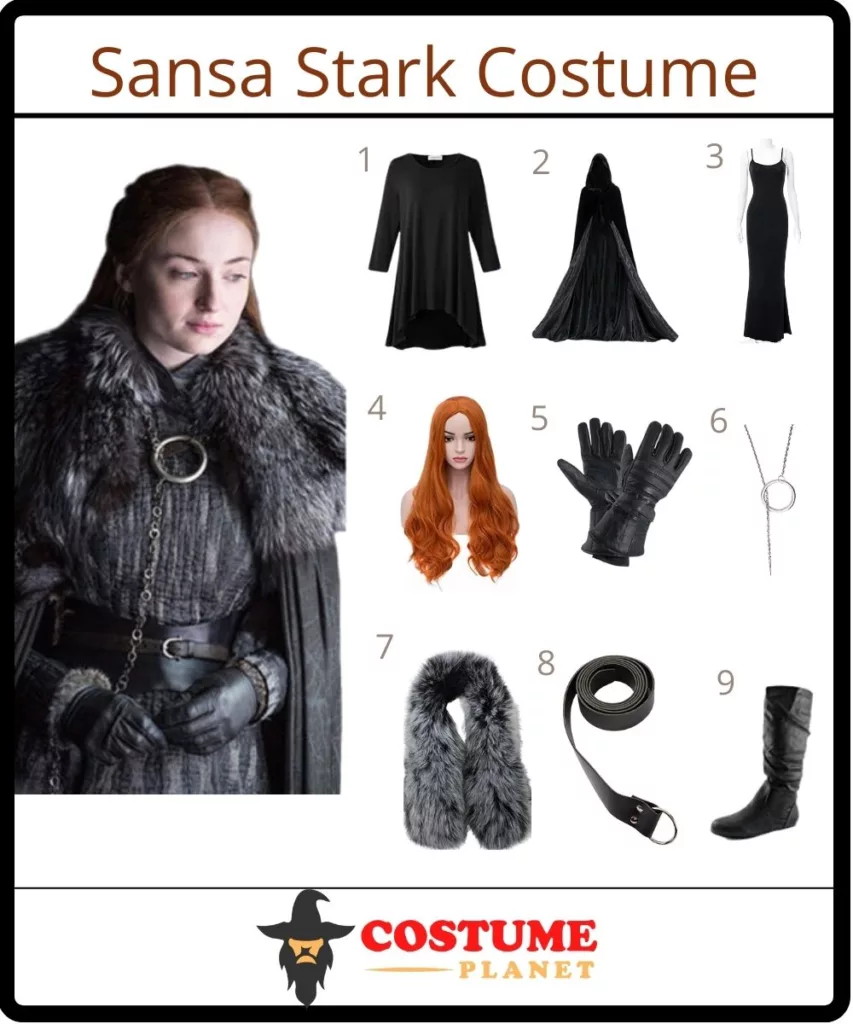 Sansa Stark Costume