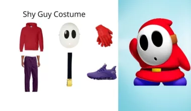 Shy Guy Costume