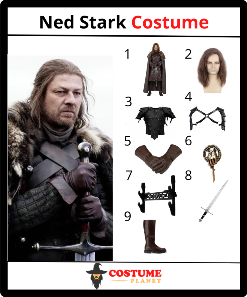 Ned Stark Costume